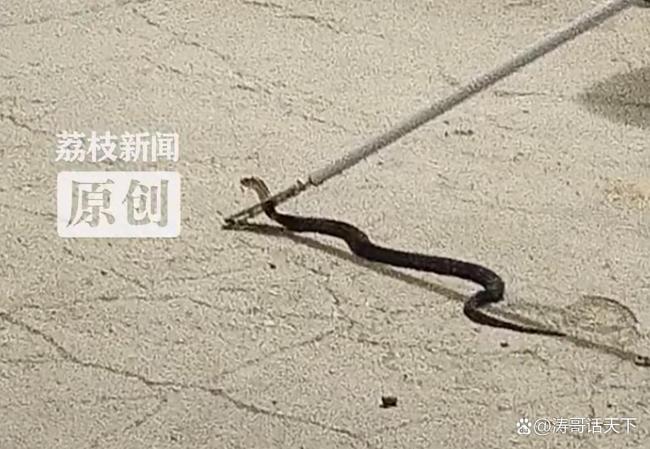 热点生活 第54页