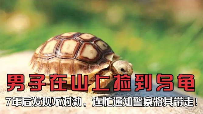 最新资讯 第66页