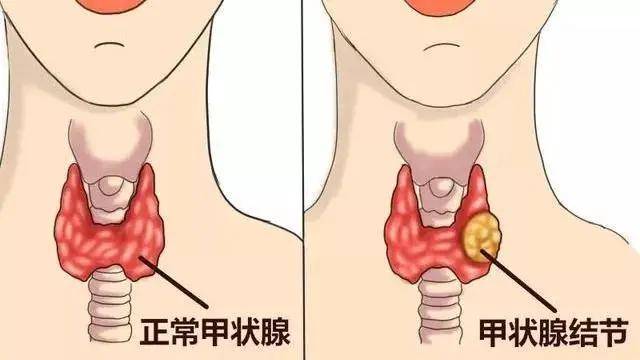 娱乐生活 第10页